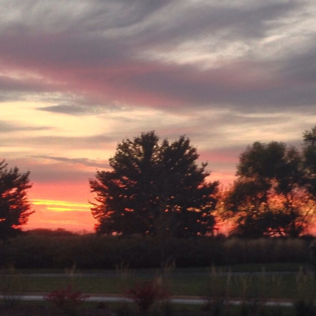 Sunset - Katie Fulton